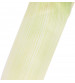 Лук порей